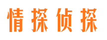 集安寻人公司